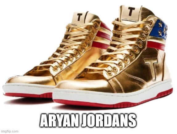 Aryan Jordans | ARYAN JORDANS | image tagged in trump sneakers,aryan jordans | made w/ Imgflip meme maker