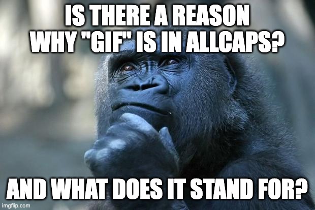 Deep Thoughts | IS THERE A REASON WHY "GIF" IS IN ALLCAPS? AND WHAT DOES IT STAND FOR? | image tagged in deep thoughts,gifs,not really a gif,barney will eat all of your delectable biscuits | made w/ Imgflip meme maker
