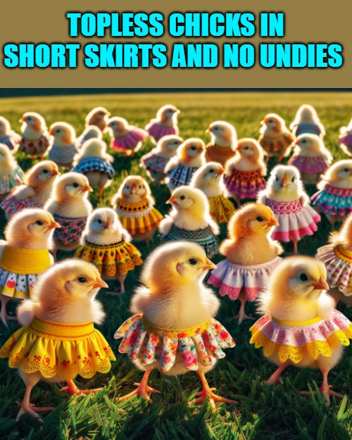 Topless chicks in short skirts and no undies | TOPLESS CHICKS IN SHORT SKIRTS AND NO UNDIES | image tagged in topless,chicks | made w/ Imgflip meme maker