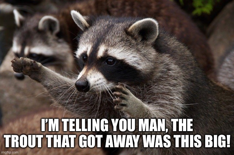 Raccoon Fish Stories | I’M TELLING YOU MAN, THE TROUT THAT GOT AWAY WAS THIS BIG! | image tagged in raccoon,fish,fishing,fairy tales,size | made w/ Imgflip meme maker