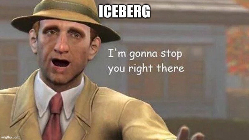 I'm gonna stop you right there | ICEBERG | image tagged in i'm gonna stop you right there | made w/ Imgflip meme maker