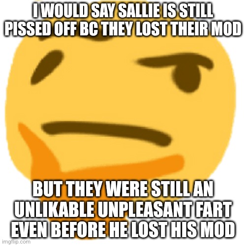 Tf is pissing that goober off? | I WOULD SAY SALLIE IS STILL PISSED OFF BC THEY LOST THEIR MOD; BUT THEY WERE STILL AN UNLIKABLE UNPLEASANT FART EVEN BEFORE HE LOST HIS MOD | image tagged in much thonk | made w/ Imgflip meme maker