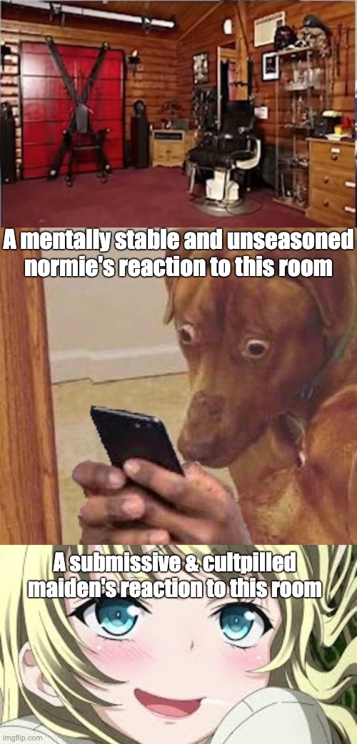 Spoiler alert: I am the submissive and cultpilled maiden | A mentally stable and unseasoned normie's reaction to this room; A submissive & cultpilled maiden's reaction to this room | image tagged in shocked dog,blushing anime,submissive,cultpilled,maiden,bdsm | made w/ Imgflip meme maker