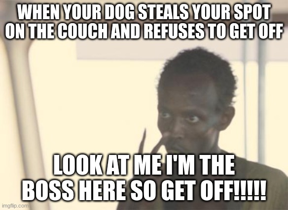 Damn Dogs | WHEN YOUR DOG STEALS YOUR SPOT ON THE COUCH AND REFUSES TO GET OFF; LOOK AT ME I'M THE BOSS HERE SO GET OFF!!!!! | image tagged in memes,i'm the captain now | made w/ Imgflip meme maker