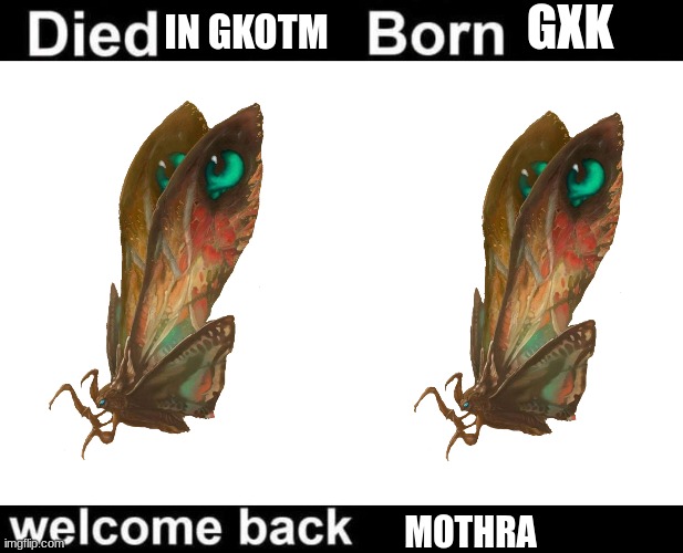 Born Died Welcome Back | IN GKOTM; GXK; MOTHRA | image tagged in born died welcome back | made w/ Imgflip meme maker