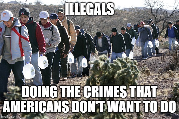 Illegal immigrants crossing border | ILLEGALS; DOING THE CRIMES THAT AMERICANS DON'T WANT TO DO | image tagged in illegal immigrants crossing border | made w/ Imgflip meme maker