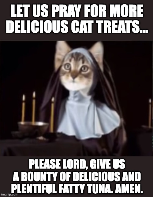 LET US PRAY FOR MORE DELICIOUS CAT TREATS... PLEASE LORD, GIVE US A BOUNTY OF DELICIOUS AND PLENTIFUL FATTY TUNA. AMEN. | image tagged in cute cat,nun,cat,catholic,prayer,fatty tuna | made w/ Imgflip meme maker
