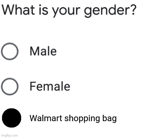 Male and Female gender question | Walmart shopping bag | image tagged in male and female gender question | made w/ Imgflip meme maker