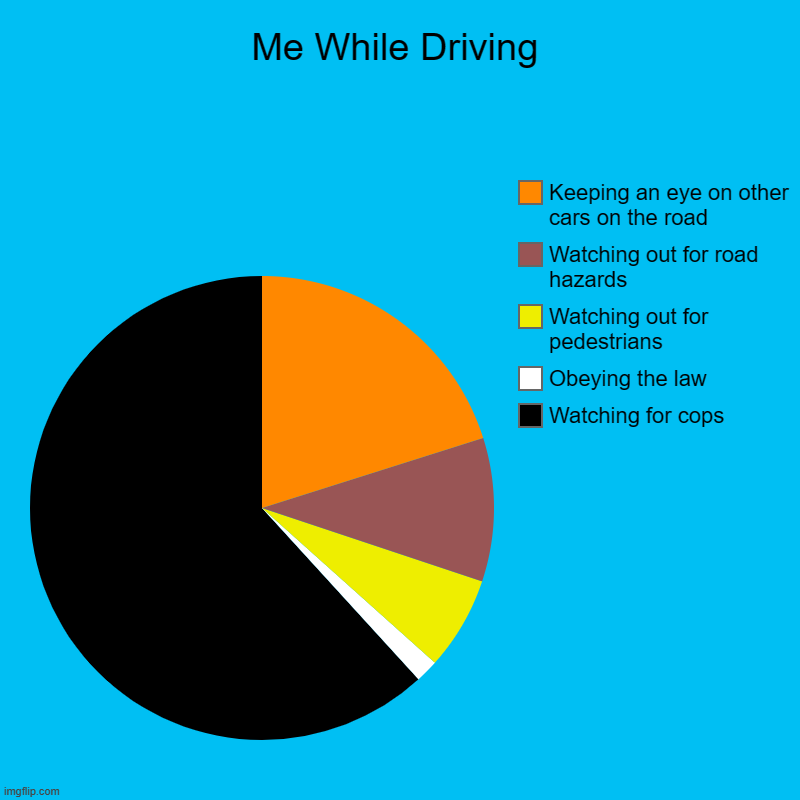 Me While Driving | Watching for cops, Obeying the law, Watching out for pedestrians, Watching out for road hazards, Keeping an eye on other  | image tagged in charts,pie charts | made w/ Imgflip chart maker