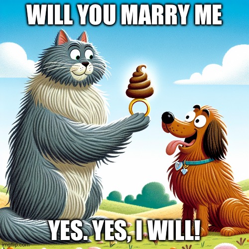 Cat marring a dog with poop as a ring | WILL YOU MARRY ME; YES. YES, I WILL! | image tagged in cat marring a dog with poop as a ring | made w/ Imgflip meme maker