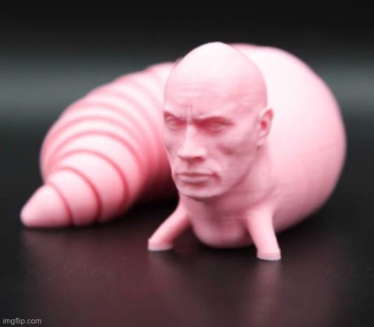 Cursed Rock Worm | image tagged in cursed rock worm | made w/ Imgflip meme maker