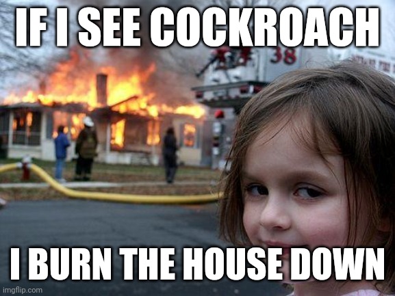 Disaster Girl | IF I SEE COCKROACH; I BURN THE HOUSE DOWN | image tagged in memes,disaster girl | made w/ Imgflip meme maker