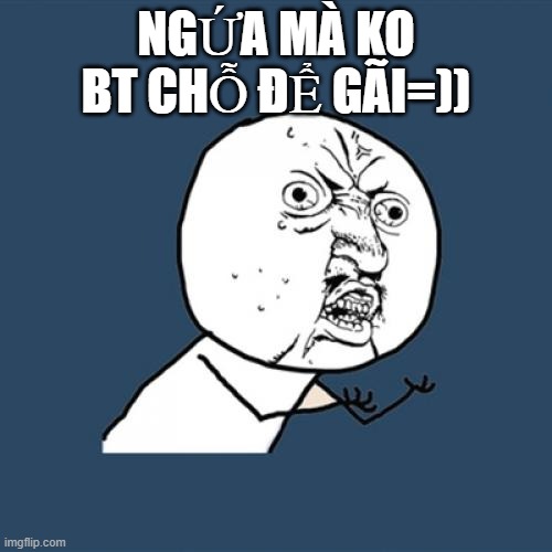 Y U No Meme | NGỨA MÀ KO BT CHỖ ĐỂ GÃI=)) | image tagged in memes,y u no | made w/ Imgflip meme maker