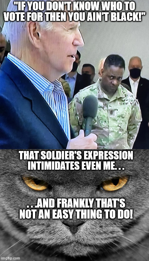Just some rando thing. | "IF YOU DON'T KNOW WHO TO VOTE FOR THEN YOU AIN'T BLACK!"; THAT SOLDIER'S EXPRESSION INTIMIDATES EVEN ME. . . . . .AND FRANKLY THAT'S NOT AN EASY THING TO DO! | image tagged in joe biden military eye roll,grumpy graey cat,joe biden,racist,politics | made w/ Imgflip meme maker