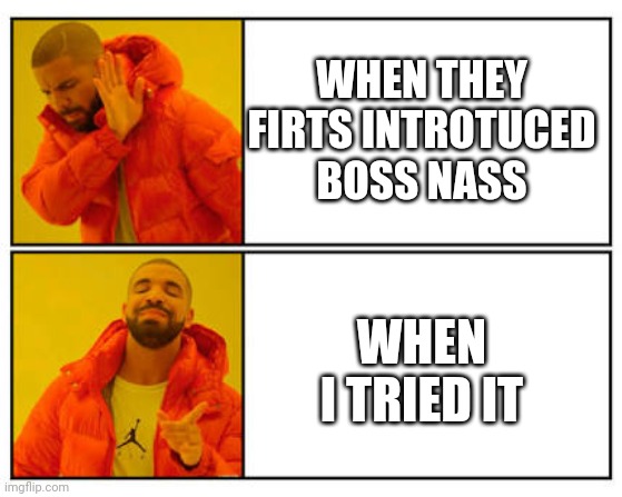 No - Yes | WHEN THEY FIRTS INTROTUCED BOSS NASS; WHEN I TRIED IT | image tagged in no - yes | made w/ Imgflip meme maker