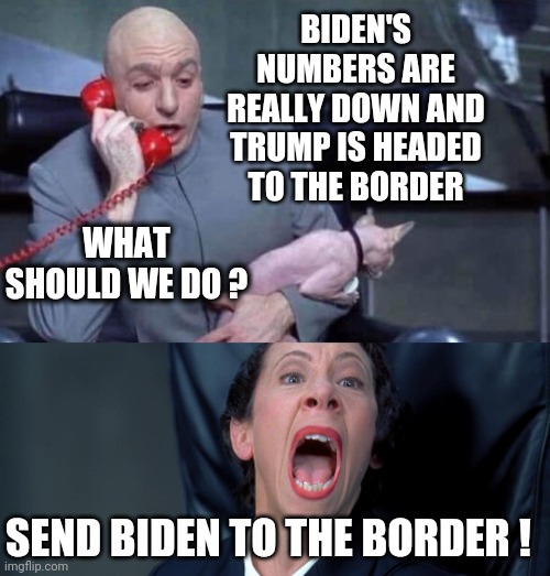 Too little, too late Joe | BIDEN'S NUMBERS ARE REALLY DOWN AND TRUMP IS HEADED TO THE BORDER; WHAT SHOULD WE DO ? SEND BIDEN TO THE BORDER ! | image tagged in dr evil and frau,2024,illegal immigration,border,democrats,liberals | made w/ Imgflip meme maker