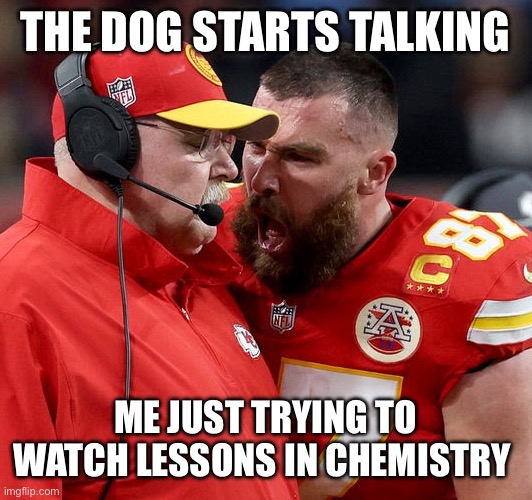 Travis Kelce screaming | THE DOG STARTS TALKING; ME JUST TRYING TO WATCH LESSONS IN CHEMISTRY | image tagged in travis kelce screaming | made w/ Imgflip meme maker