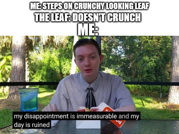i wish all leaves are crunchy | ME: STEPS ON CRUNCHY LOOKING LEAF; THE LEAF: DOESN'T CRUNCH; ME: | image tagged in my day is ruined | made w/ Imgflip meme maker