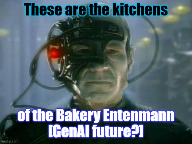 Locutus of Borg | These are the kitchens; of the Bakery Entenmann
[GenAI future?] | image tagged in locutus of borg | made w/ Imgflip meme maker