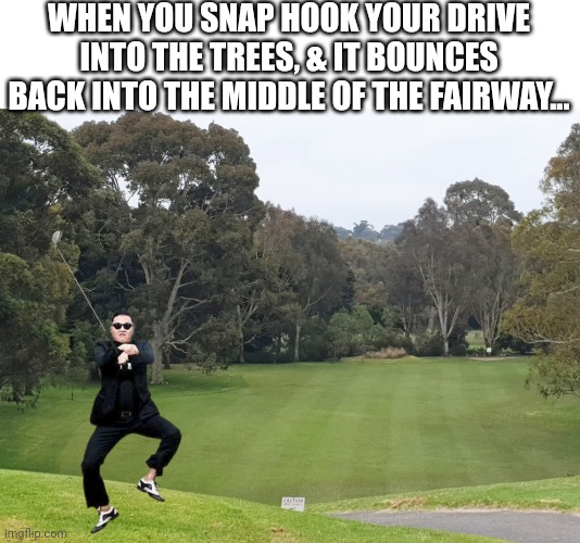 Gangnam Golf | WHEN YOU SNAP HOOK YOUR DRIVE INTO THE TREES, & IT BOUNCES BACK INTO THE MIDDLE OF THE FAIRWAY... | image tagged in golf,gangnam style | made w/ Imgflip meme maker