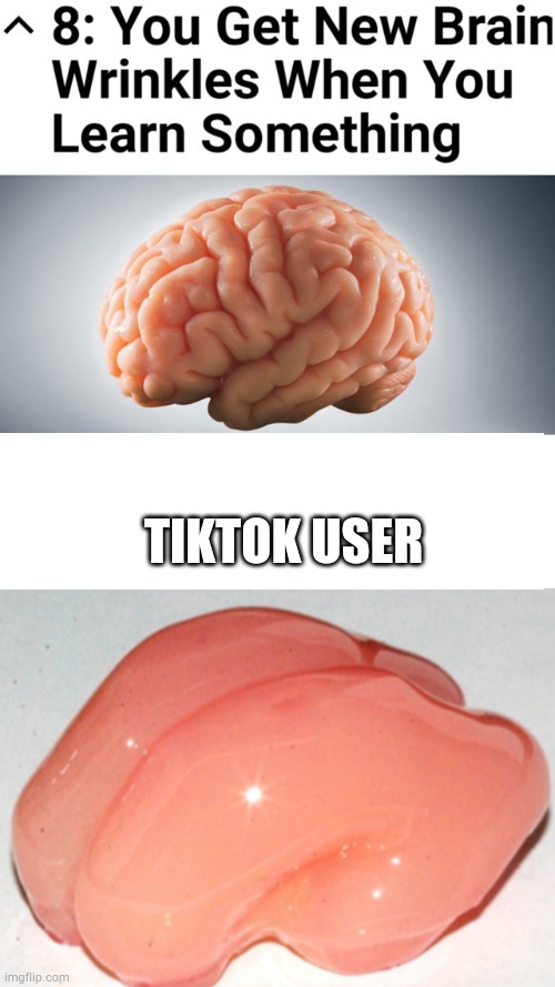 Rare images of tiktok user brain. | TIKTOK USER | image tagged in memes | made w/ Imgflip meme maker