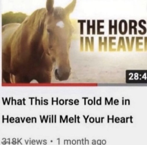 >at the pearly gates >horse walks in | made w/ Imgflip meme maker