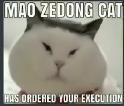 High Quality Mao Zedong Cat Blank Meme Template