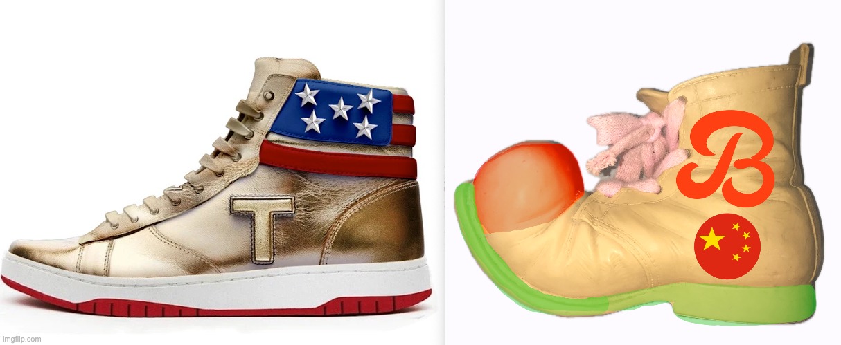 I Know Which One I'm Going With | image tagged in sneakers,clown shoes | made w/ Imgflip meme maker