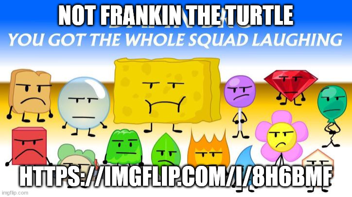 not that bullshit dickhead | NOT FRANKIN THE TURTLE; HTTPS://IMGFLIP.COM/I/8H6BMF | image tagged in final fourteen looking different | made w/ Imgflip meme maker