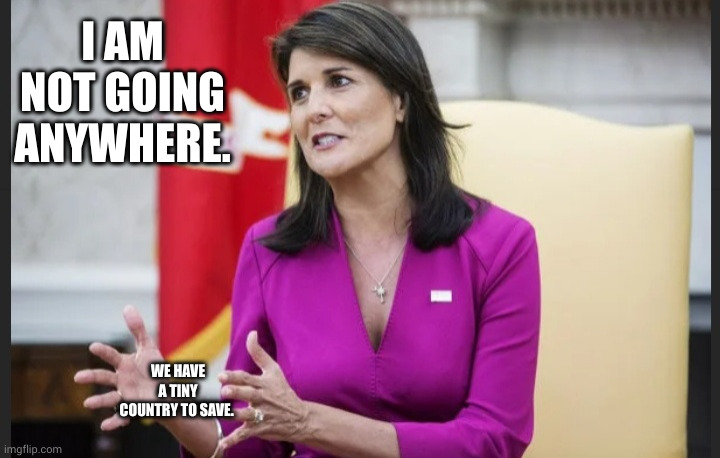 A tiny country to save | I AM NOT GOING ANYWHERE. WE HAVE A TINY COUNTRY TO SAVE. | image tagged in empty hands haley,nikki haley,usa,memes,tiny country,republican nomination | made w/ Imgflip meme maker