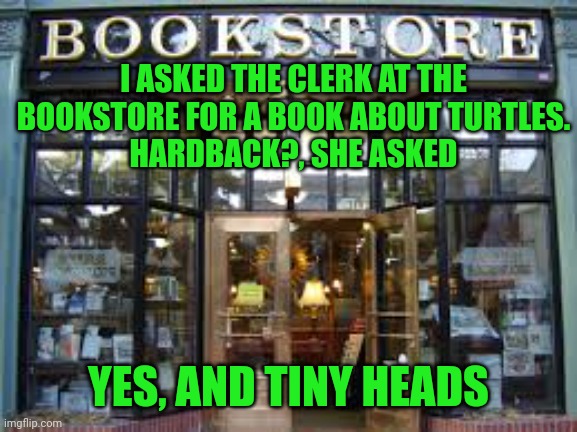 bookstore | I ASKED THE CLERK AT THE BOOKSTORE FOR A BOOK ABOUT TURTLES.
HARDBACK?, SHE ASKED; YES, AND TINY HEADS | image tagged in bookstore | made w/ Imgflip meme maker