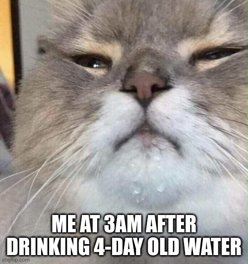 ME AT 3AM AFTER DRINKING 4-DAY OLD WATER | image tagged in tag | made w/ Imgflip meme maker