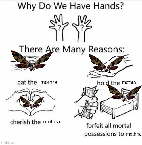 Why do we have hands? (all blank) | mothra mothra mothra mothra | image tagged in why do we have hands all blank | made w/ Imgflip meme maker