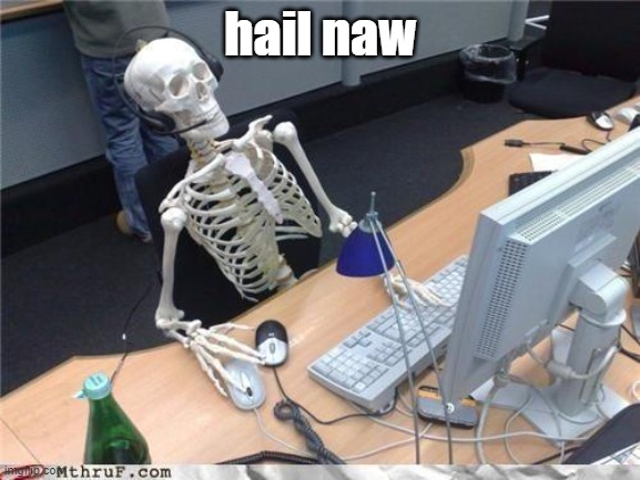 Waiting skeleton | hail naw | image tagged in waiting skeleton | made w/ Imgflip meme maker