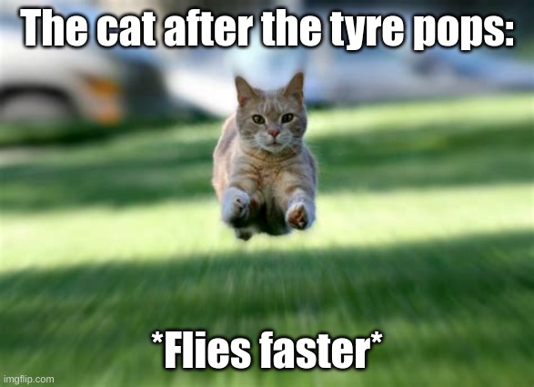 cat flying | The cat after the tyre pops: *Flies faster* | image tagged in cat flying | made w/ Imgflip meme maker