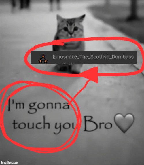 I'm gonna touch you bro | image tagged in i'm gonna touch you bro | made w/ Imgflip meme maker