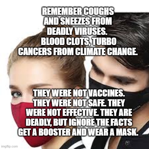Mask Couple | REMEMBER COUGHS AND SNEEZES FROM DEADLY VIRUSES. 
 BLOOD CLOTS, TURBO CANCERS FROM CLIMATE CHANGE. THEY WERE NOT VACCINES. THEY WERE NOT SAFE. THEY WERE NOT EFFECTIVE. THEY ARE DEADLY, BUT IGNORE THE FACTS GET A BOOSTER AND WEAR A MASK. | image tagged in mask couple | made w/ Imgflip meme maker
