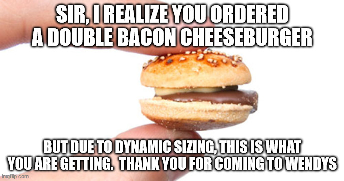 Wendys | SIR, I REALIZE YOU ORDERED A DOUBLE BACON CHEESEBURGER; BUT DUE TO DYNAMIC SIZING, THIS IS WHAT YOU ARE GETTING.  THANK YOU FOR COMING TO WENDYS | image tagged in dynamic pricing,uber | made w/ Imgflip meme maker