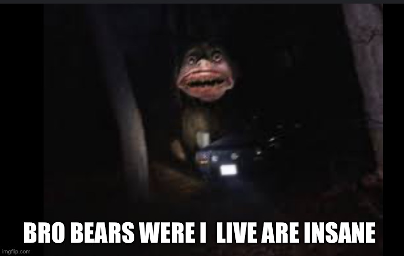 Hjklkjhgjkjnhjklkmnb | BRO BEARS WERE I  LIVE ARE INSANE | image tagged in fghjkilokjhgyhujnbvcfgyhbvcfghgvfhnbvcgbvcghnbv cghbvcbn | made w/ Imgflip meme maker