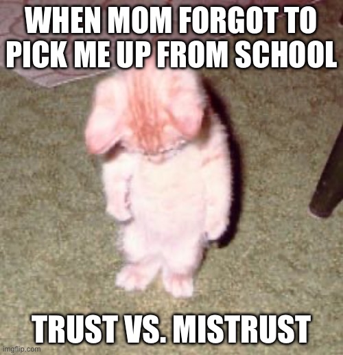 When mom forgot to pick me up from school | WHEN MOM FORGOT TO PICK ME UP FROM SCHOOL; TRUST VS. MISTRUST | image tagged in sorry for | made w/ Imgflip meme maker