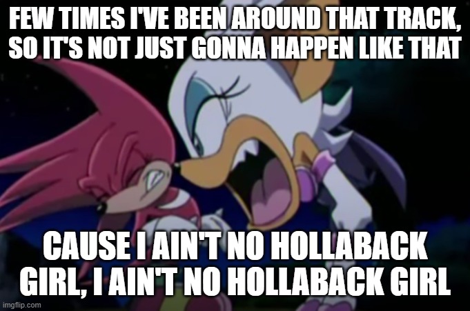 rouge yelling at knuckles | FEW TIMES I'VE BEEN AROUND THAT TRACK, SO IT'S NOT JUST GONNA HAPPEN LIKE THAT; CAUSE I AIN'T NO HOLLABACK GIRL, I AIN'T NO HOLLABACK GIRL | image tagged in rouge yelling at knuckles | made w/ Imgflip meme maker