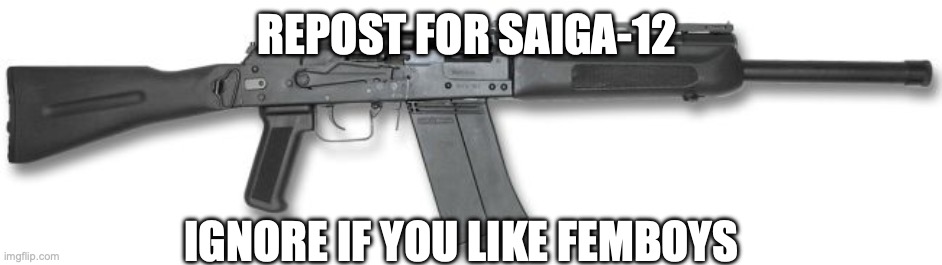 saiga 12 | REPOST FOR SAIGA-12; IGNORE IF YOU LIKE FEMBOYS | image tagged in saiga 12 | made w/ Imgflip meme maker