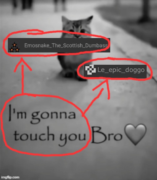 I'm gonna touch you bro | image tagged in i'm gonna touch you bro | made w/ Imgflip meme maker