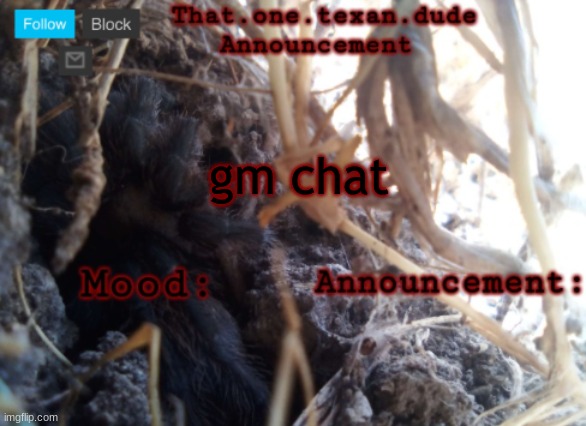 THE that.one.texan.dude announcement template | gm chat | image tagged in the that one texan dude announcement template | made w/ Imgflip meme maker