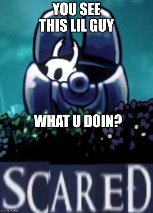 Hollow knight scared | YOU SEE THIS LIL GUY; WHAT U DOIN? | image tagged in hollow knight scared | made w/ Imgflip meme maker
