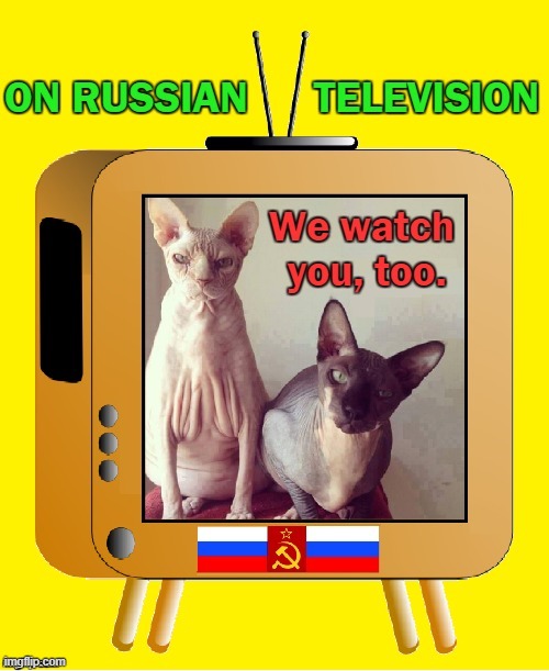 When you watch TV in Russia.... | image tagged in vince vance,cats,russia,russian,kgb,funny cat memes | made w/ Imgflip meme maker