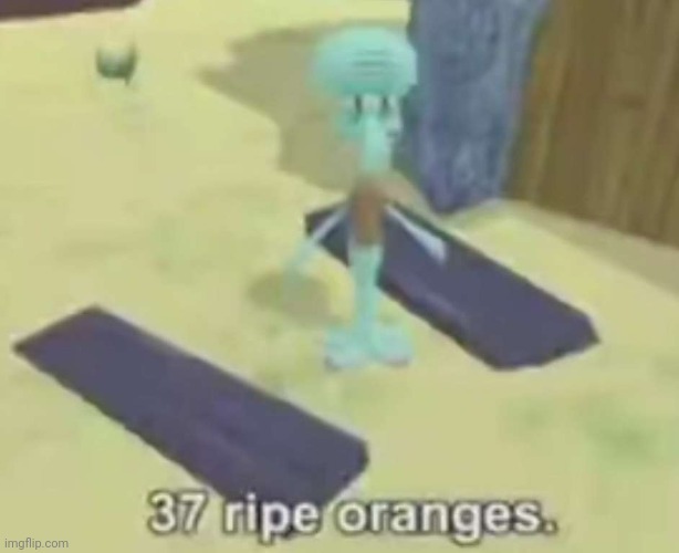 true | made w/ Imgflip meme maker