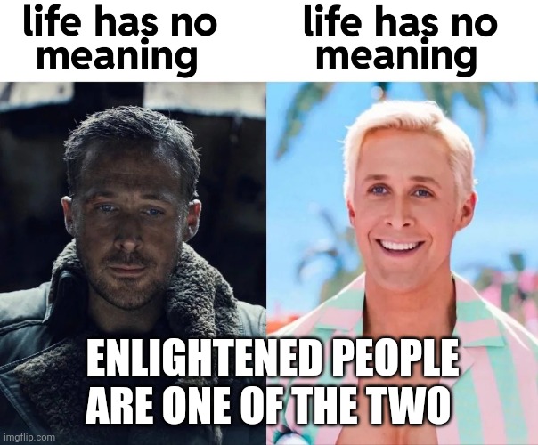 Enlightened | ENLIGHTENED PEOPLE ARE ONE OF THE TWO | image tagged in enlightenment,dark,light,happy,sad | made w/ Imgflip meme maker