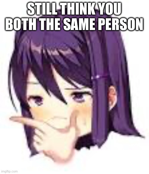 Thonking Yuri | STILL THINK YOU BOTH THE SAME PERSON | image tagged in thonking yuri | made w/ Imgflip meme maker