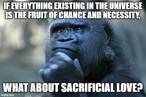 Better Thinking | IF EVERYTHING EXISTING IN THE UNIVERSE IS THE FRUIT OF CHANCE AND NECESSITY, WHAT ABOUT SACRIFICIAL LOVE? | image tagged in god,evolution,what is my purpose,jesus,inspirational,easter | made w/ Imgflip meme maker